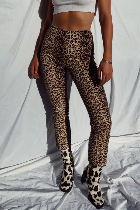 Hi Rise Leopard Pants (S)